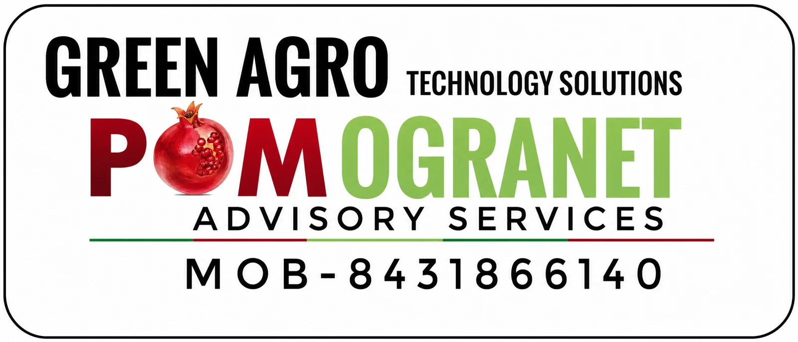 logo-02